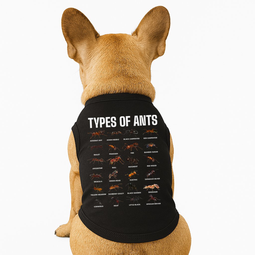 Types Of Ants For Ant Keeper Lovers Doggie Tank