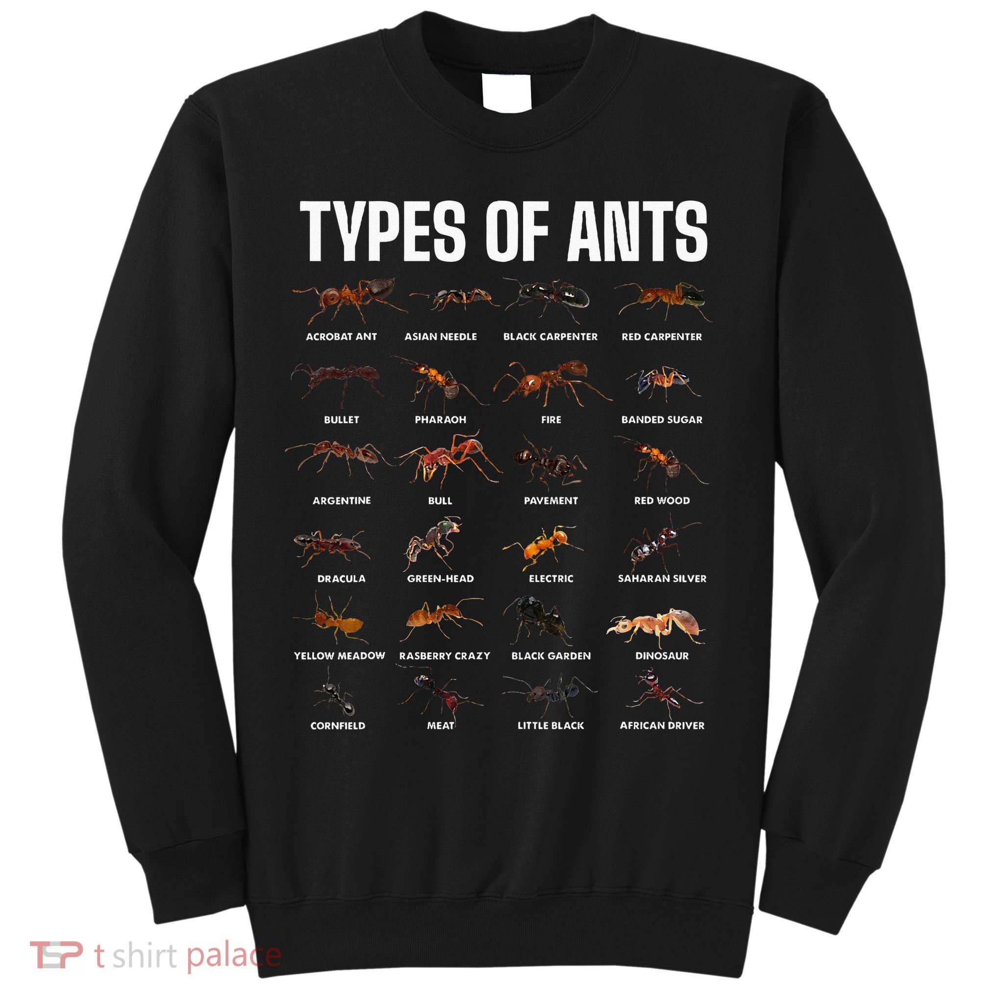 Types Of Ants For Ant Keeper Lovers Sweatshirt