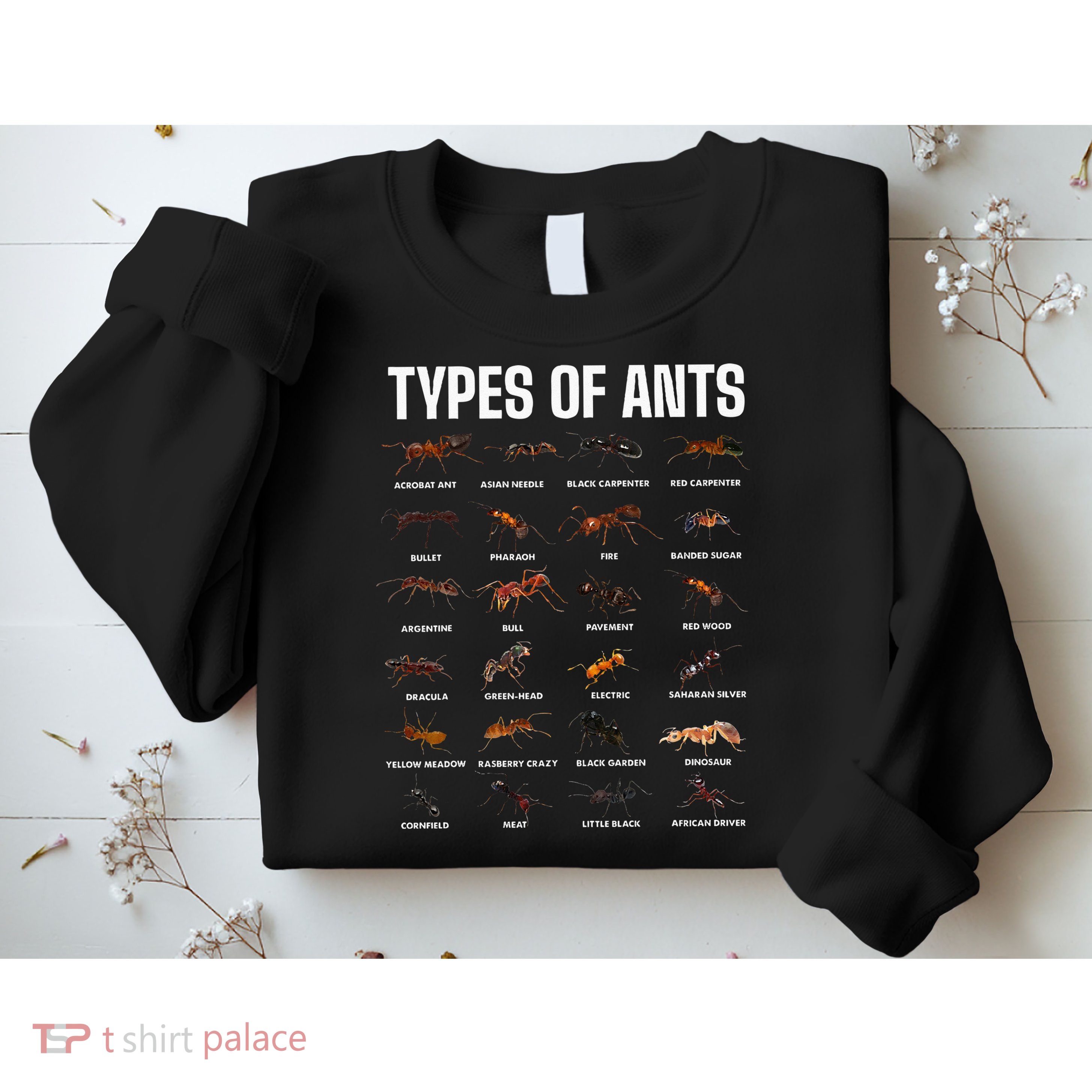 Types Of Ants For Ant Keeper Lovers Sweatshirt