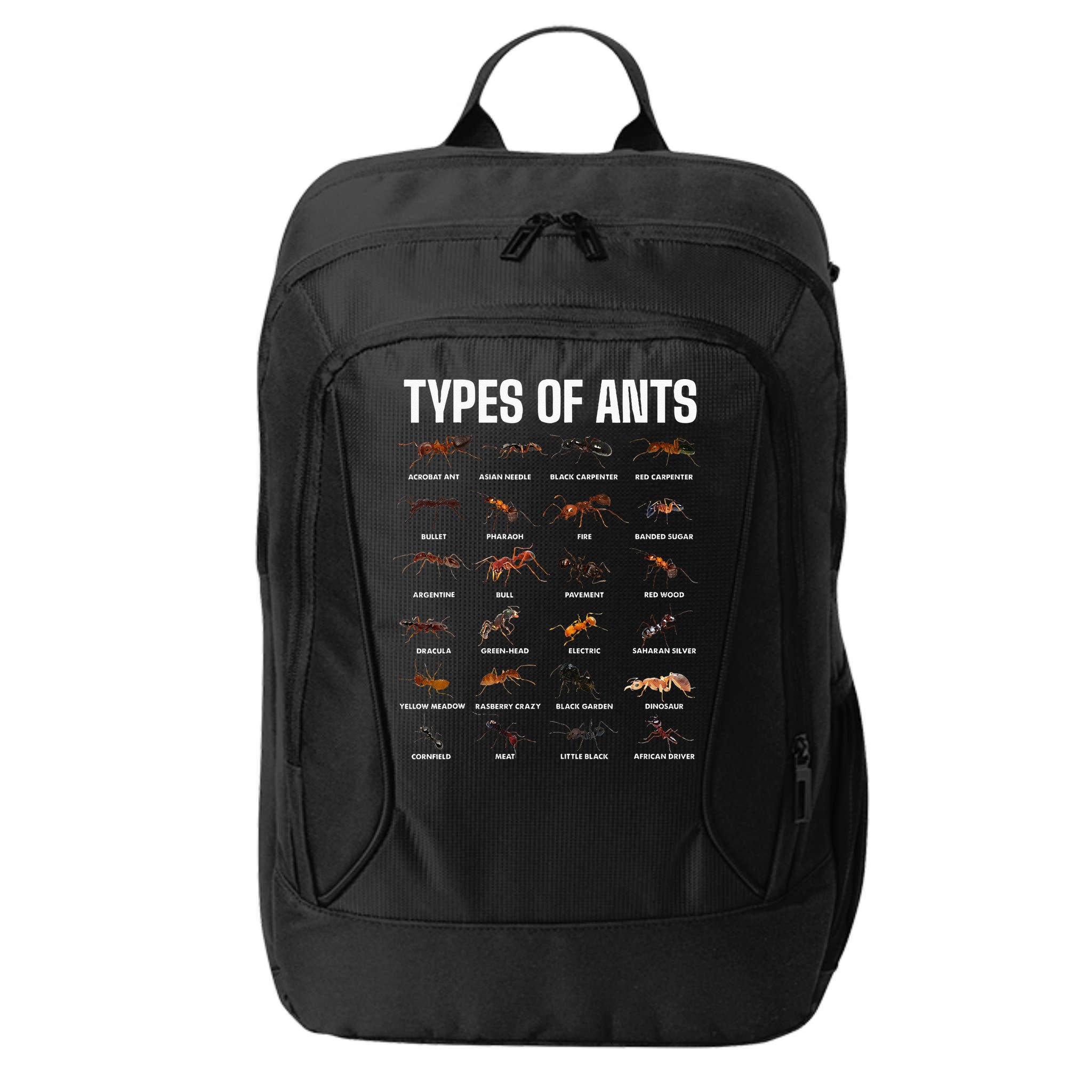 Types Of Ants For Ant Keeper Lovers City Backpack