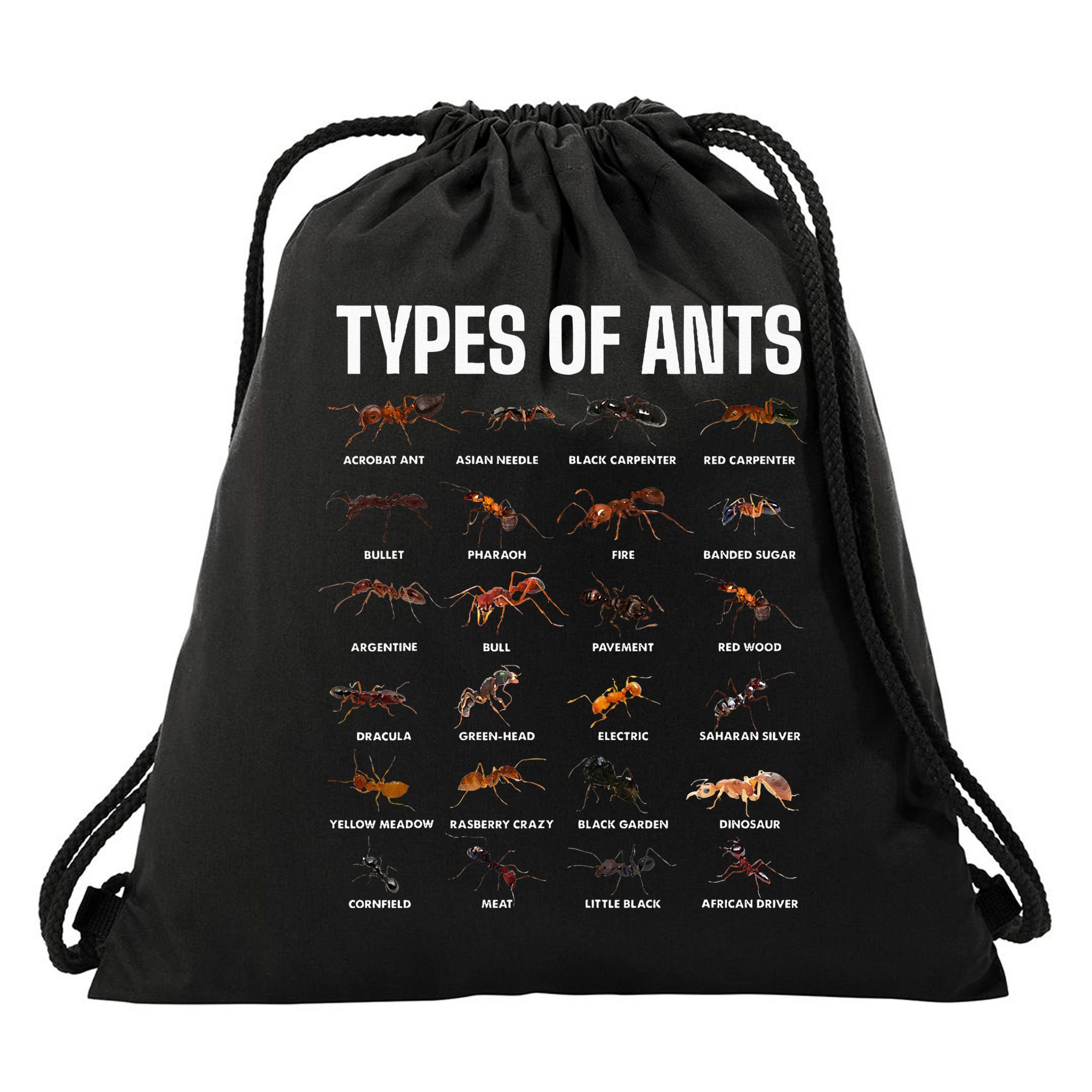Types Of Ants For Ant Keeper Lovers Drawstring Bag