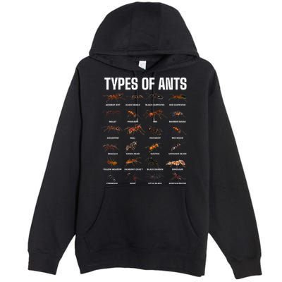 Types Of Ants For Ant Keeper Lovers Premium Pullover Hoodie