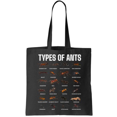Types Of Ants For Ant Keeper Lovers Bag