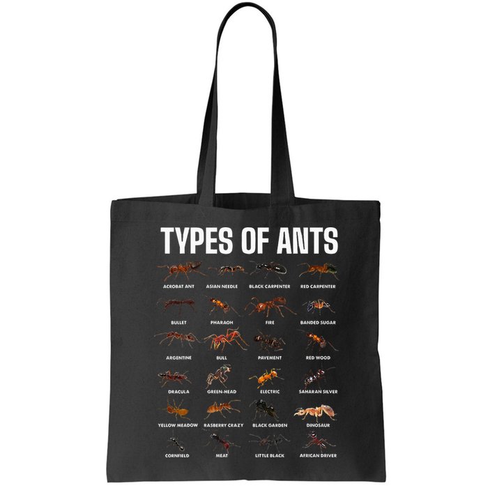 Types Of Ants For Ant Keeper Lovers Bag