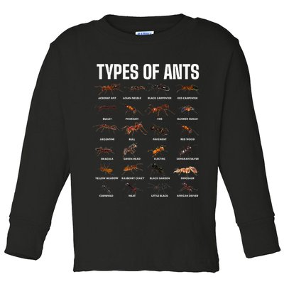 Types Of Ants For Ant Keeper Lovers Toddler Long Sleeve Shirt