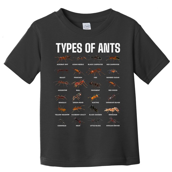 Types Of Ants For Ant Keeper Lovers Toddler T-Shirt