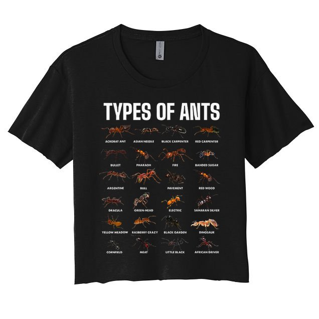 Types Of Ants For Ant Keeper Lovers Crop Top