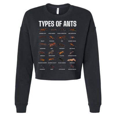 Types Of Ants For Ant Keeper Lovers Cropped Pullover Crew