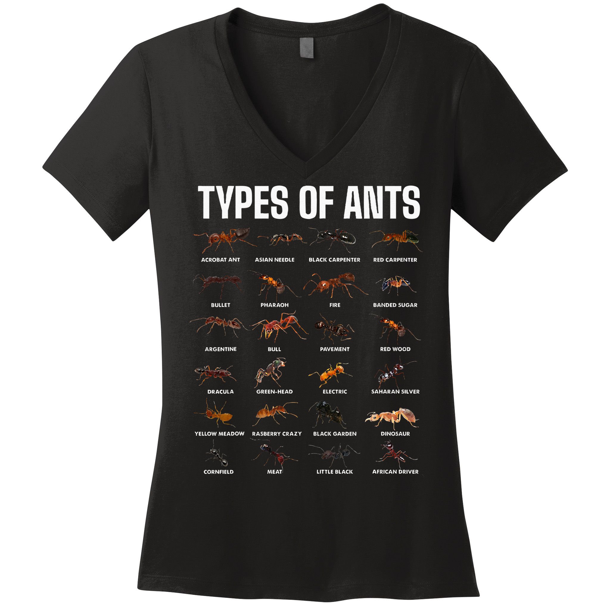 Types Of Ants For Ant Keeper Lovers Women's V-Neck T-Shirt