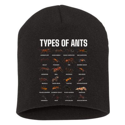 Types Of Ants For Ant Keeper Lovers Short Acrylic Beanie