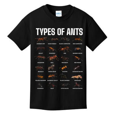 Types Of Ants For Ant Keeper Lovers Kids T-Shirt
