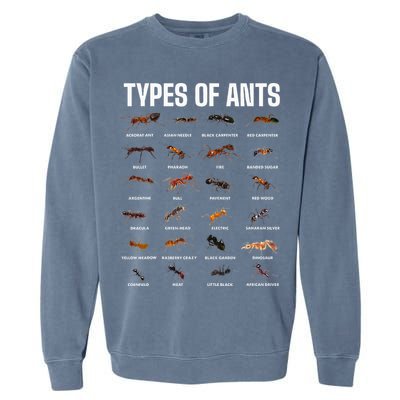 Types Of Ants For Ant Keeper Lovers Garment-Dyed Sweatshirt