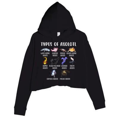 Types of Axolotl Shirt Cute Different Species of Axolotls  Crop Fleece Hoodie