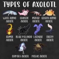 Types of Axolotl Shirt Cute Different Species of Axolotls  Tumbler