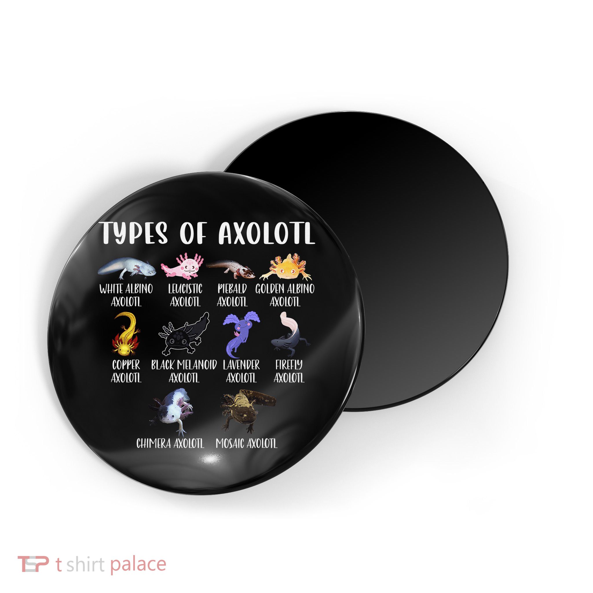 Types of Axolotl Shirt Cute Different Species of Axolotls  Magnet