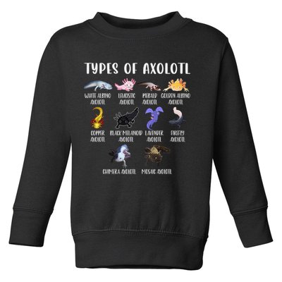 Types of Axolotl Shirt Cute Different Species of Axolotls  Toddler Sweatshirt