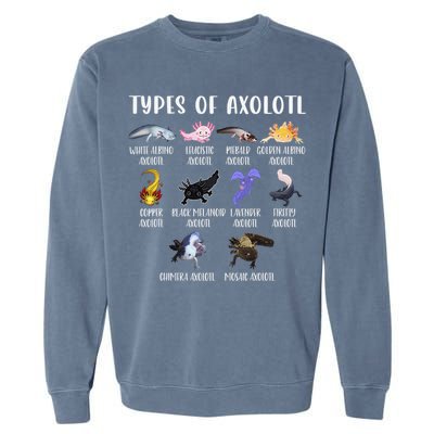 Types of Axolotl Shirt Cute Different Species of Axolotls  Garment-Dyed Sweatshirt