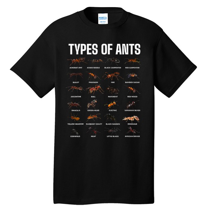 Types Of Ants For Ant Keeper Lovers Tall T-Shirt