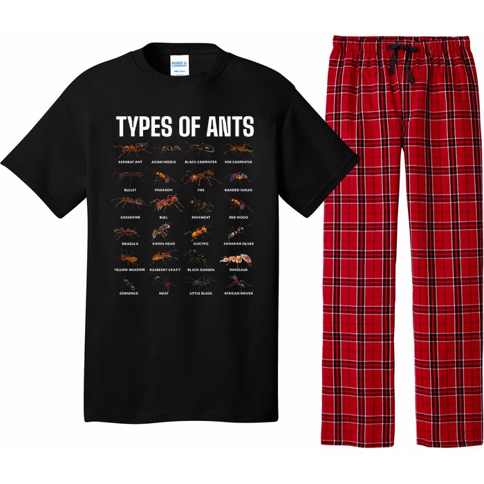 Types Of Ants For Ant Keeper Lovers Pajama Set