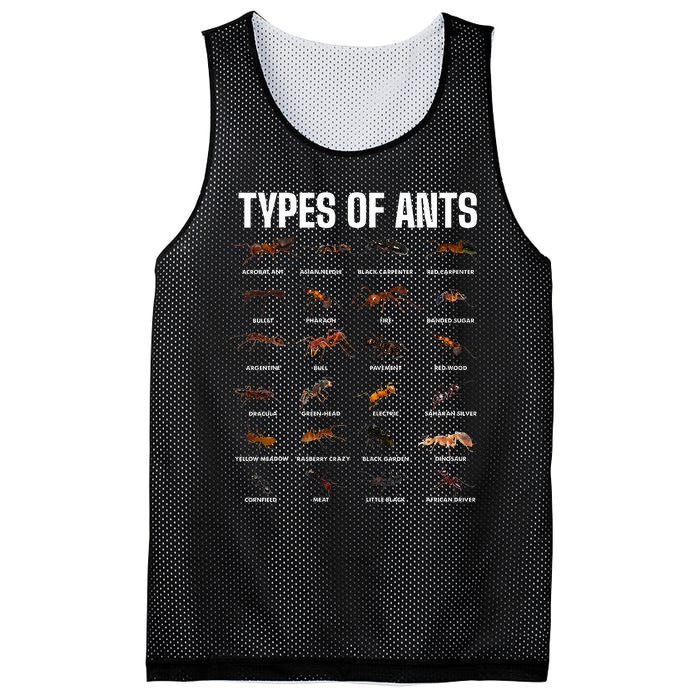 Types Of Ants For Ant Keeper Lovers Mesh Reversible Basketball Jersey Tank