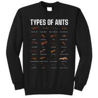 Types Of Ants For Ant Keeper Lovers Tall Sweatshirt