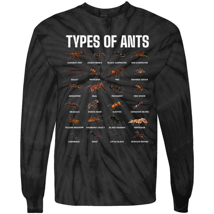 Types Of Ants For Ant Keeper Lovers Tie-Dye Long Sleeve Shirt