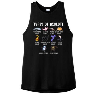 Types Of Axolotl Art Cute Different Species Of Axolotl Ladies PosiCharge Tri-Blend Wicking Tank