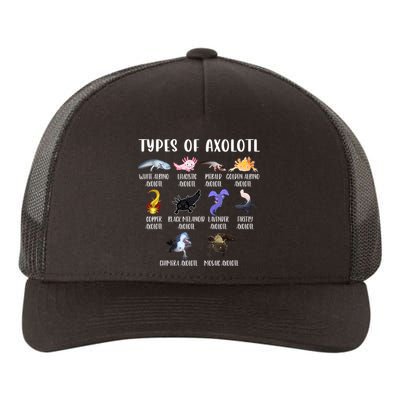 Types Of Axolotl Art Cute Different Species Of Axolotl Yupoong Adult 5-Panel Trucker Hat