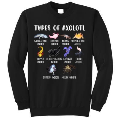 Types Of Axolotl Art Cute Different Species Of Axolotl Sweatshirt