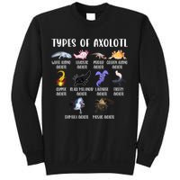 Types Of Axolotl Art Cute Different Species Of Axolotl Sweatshirt