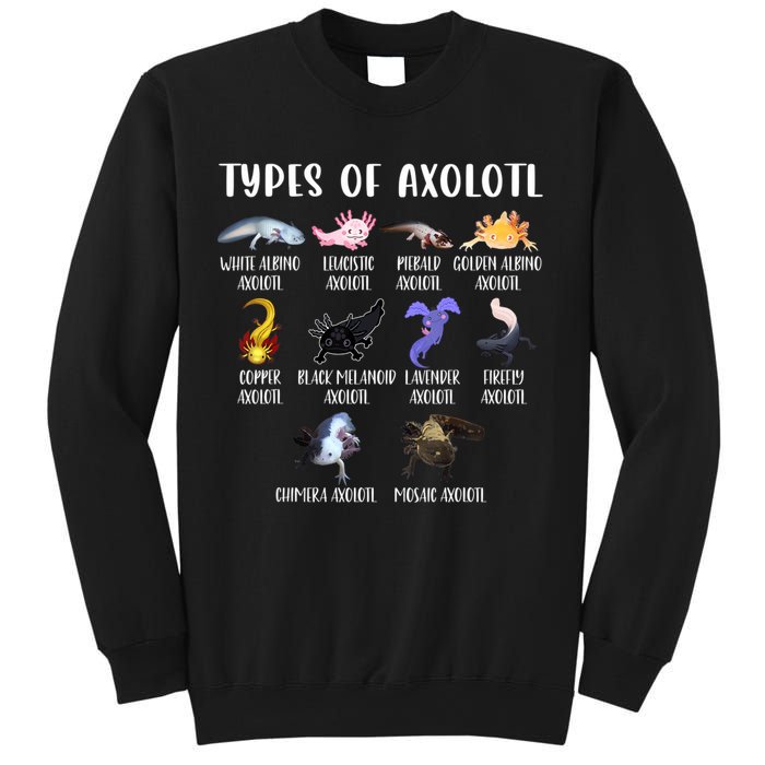 Types Of Axolotl Art Cute Different Species Of Axolotl Sweatshirt