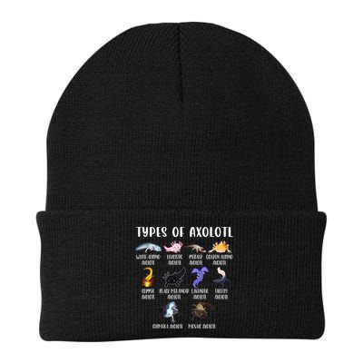 Types Of Axolotl Art Cute Different Species Of Axolotl Beanie