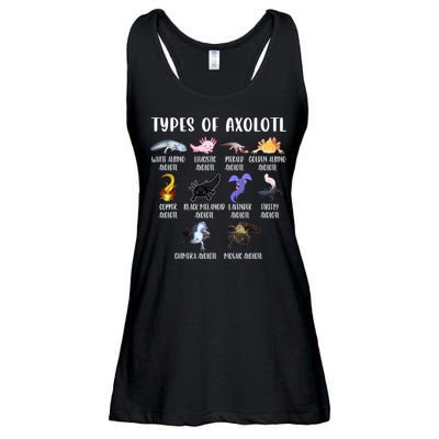 Types Of Axolotl Art Cute Different Species Of Axolotl Ladies Essential Flowy Tank