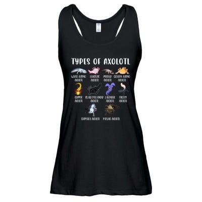 Types Of Axolotl Art Cute Different Species Of Axolotl Ladies Essential Flowy Tank