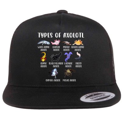 Types Of Axolotl Art Cute Different Species Of Axolotl Flatbill Hat