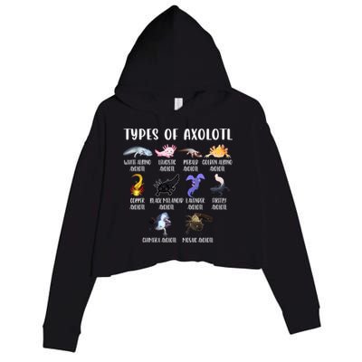 Types Of Axolotl Art Cute Different Species Of Axolotl Crop Fleece Hoodie