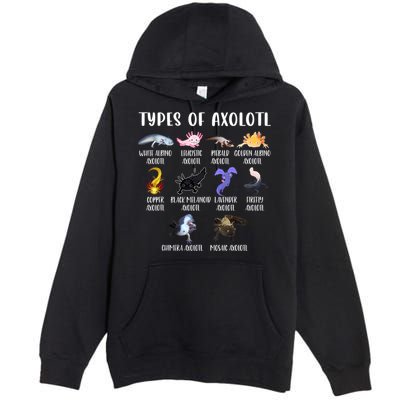 Types Of Axolotl Art Cute Different Species Of Axolotl Premium Pullover Hoodie