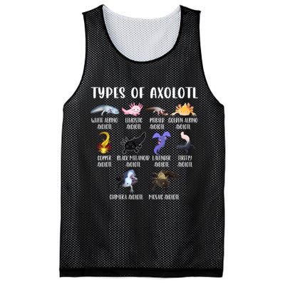 Types Of Axolotl Art Cute Different Species Of Axolotl Mesh Reversible Basketball Jersey Tank