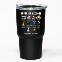 Types Of Axolotl Art Cute Different Species Of Axolotl Tumbler