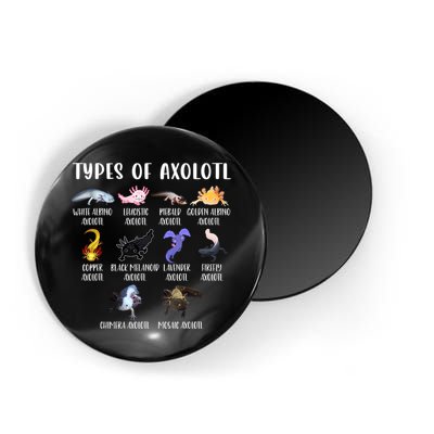 Types Of Axolotl Art Cute Different Species Of Axolotl Magnet
