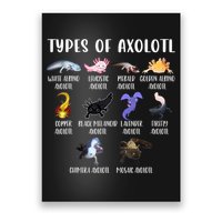 Types Of Axolotl Art Cute Different Species Of Axolotl Poster