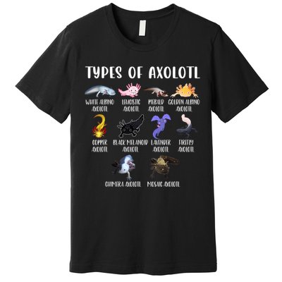 Types Of Axolotl Art Cute Different Species Of Axolotl Premium T-Shirt
