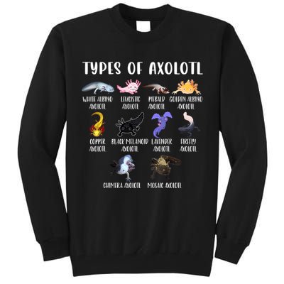 Types Of Axolotl Art Cute Different Species Of Axolotl Tall Sweatshirt