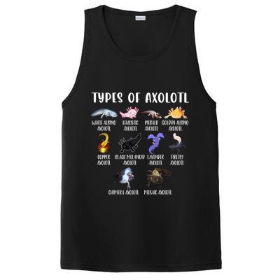 Types Of Axolotl Art Cute Different Species Of Axolotl PosiCharge Competitor Tank