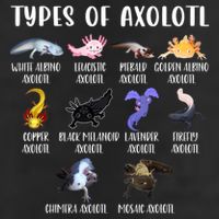 Types Of Axolotl Art Cute Different Species Of Axolotl Trucker Hat