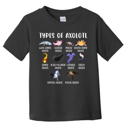 Types Of Axolotl Art Cute Different Species Of Axolotl Toddler T-Shirt
