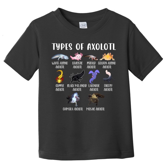 Types Of Axolotl Art Cute Different Species Of Axolotl Toddler T-Shirt