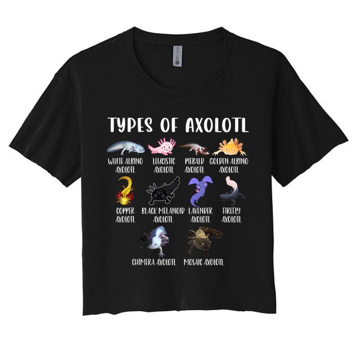 Types Of Axolotl Art Cute Different Species Of Axolotl Crop Top