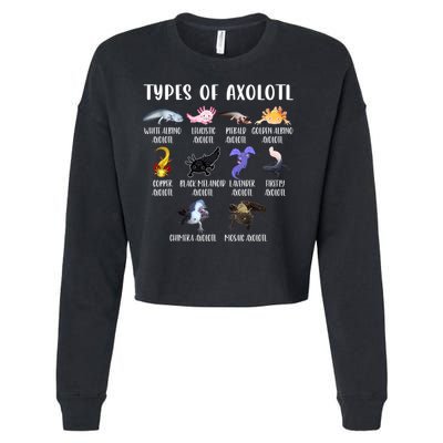 Types Of Axolotl Art Cute Different Species Of Axolotl Cropped Pullover Crew