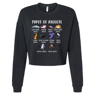 Types Of Axolotl Art Cute Different Species Of Axolotl Cropped Pullover Crew